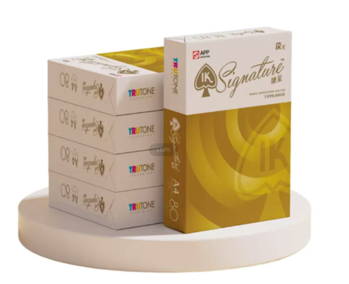 复印纸 IK A4/80g/5包/500张/包/白色
